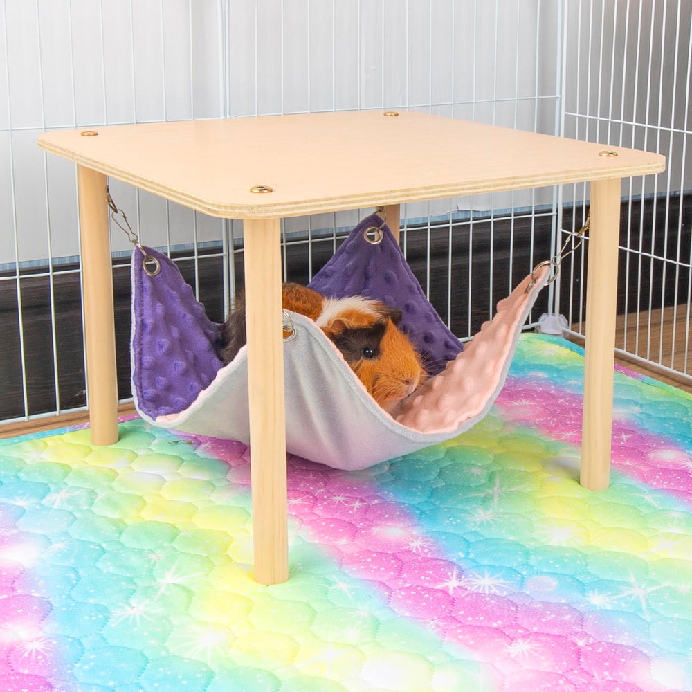 BESNEW regalo ideal para mascotas como cobayas, conejos y hámsters.