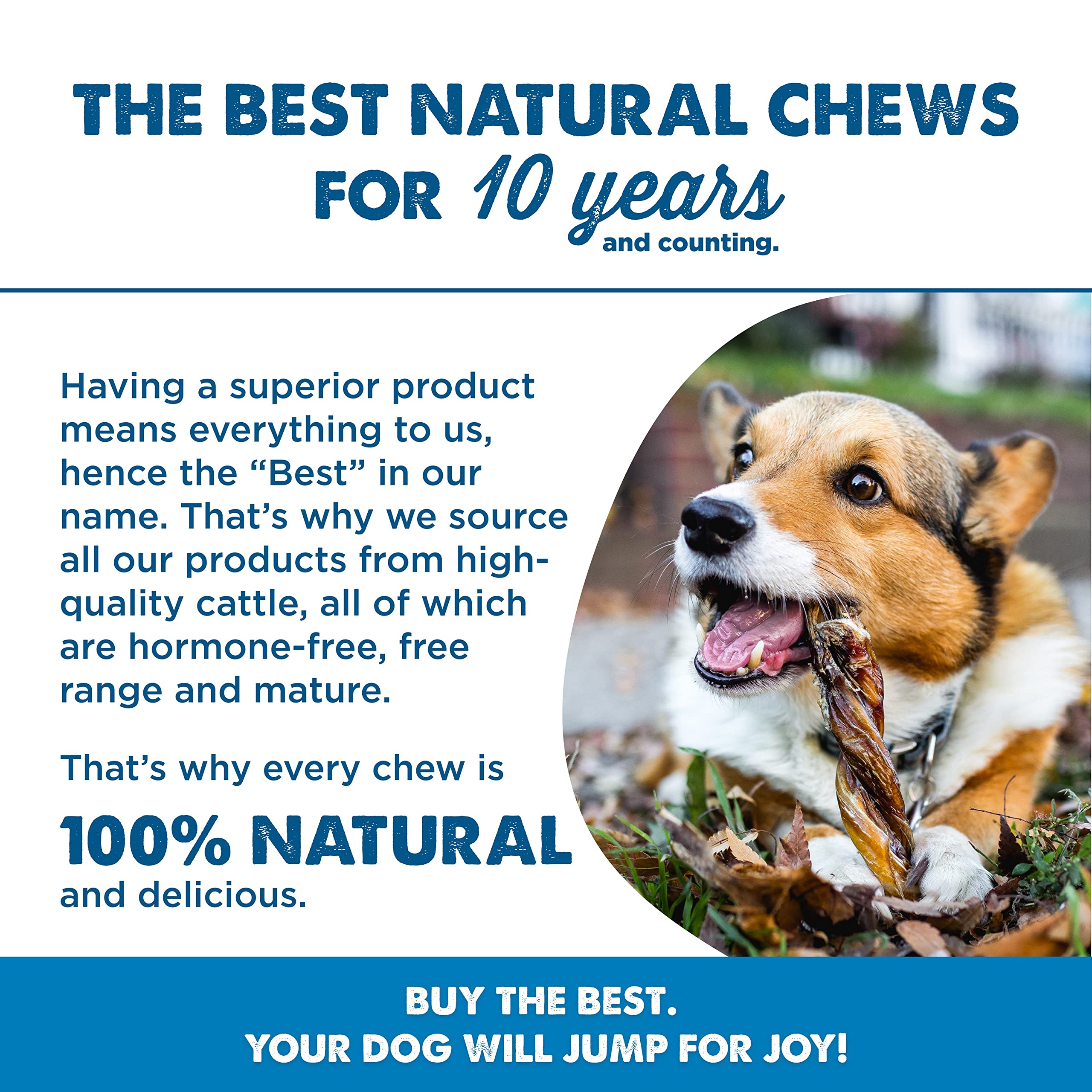 Best Bully Sticks, alternativa segura al cuero tradicional sin harinas.