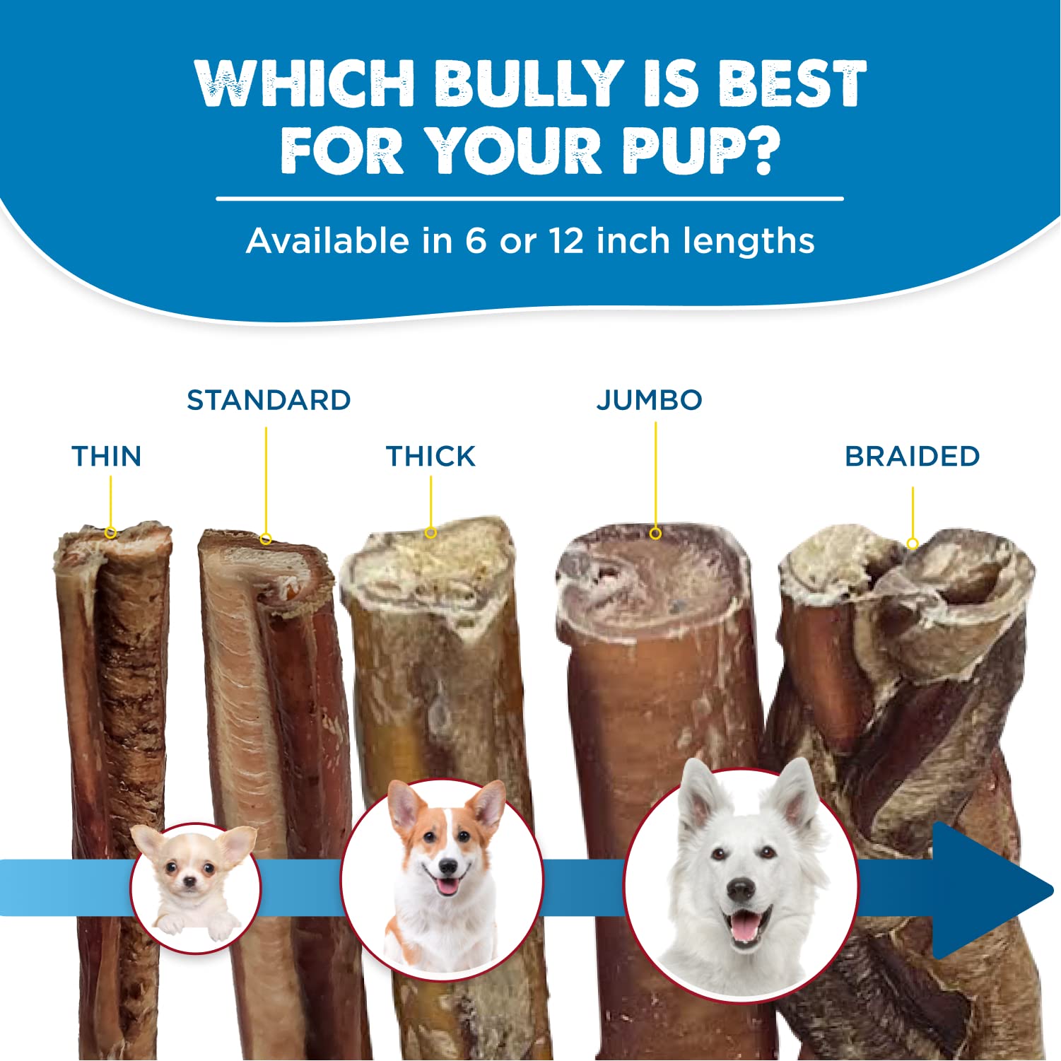 Best Bully Sticks aroma natural sin conservantes, ideal para perros sensibles al olfato.