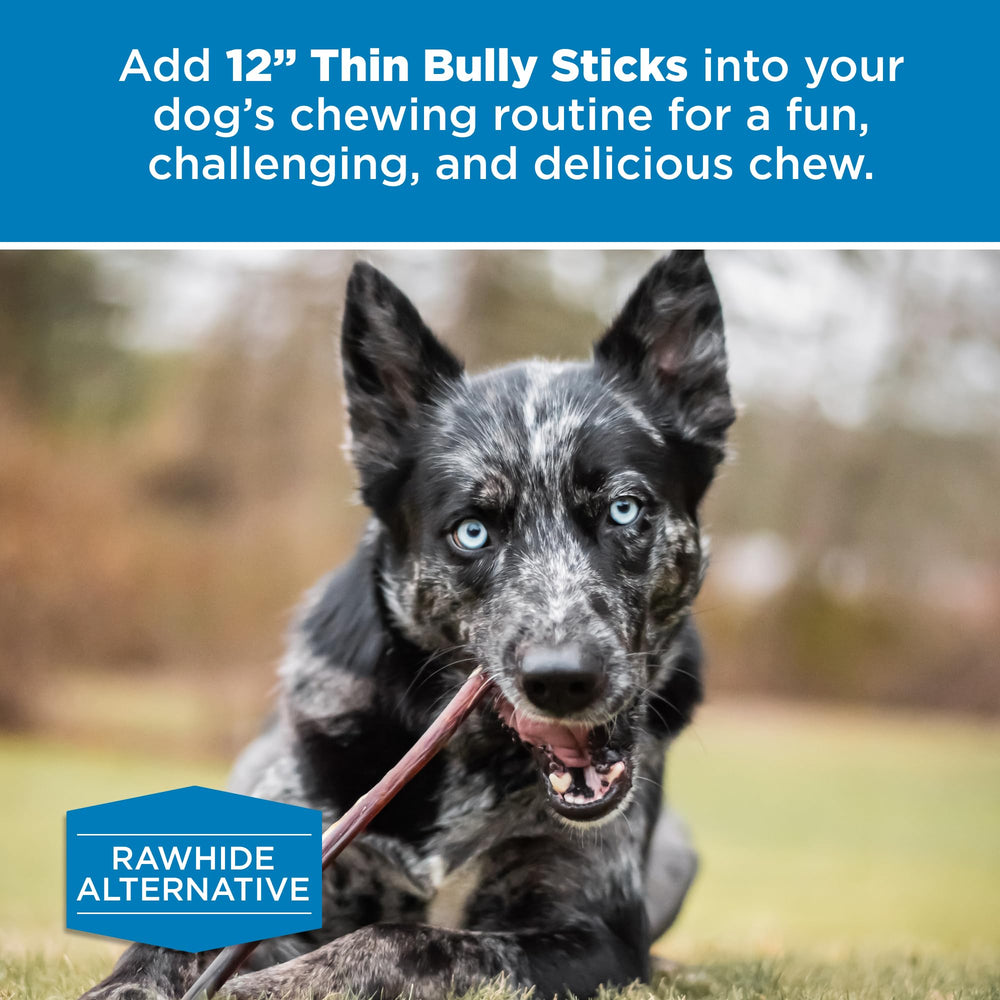 Best Bully Sticks: ideal para cachorros en denticion y razas pequeñas.
