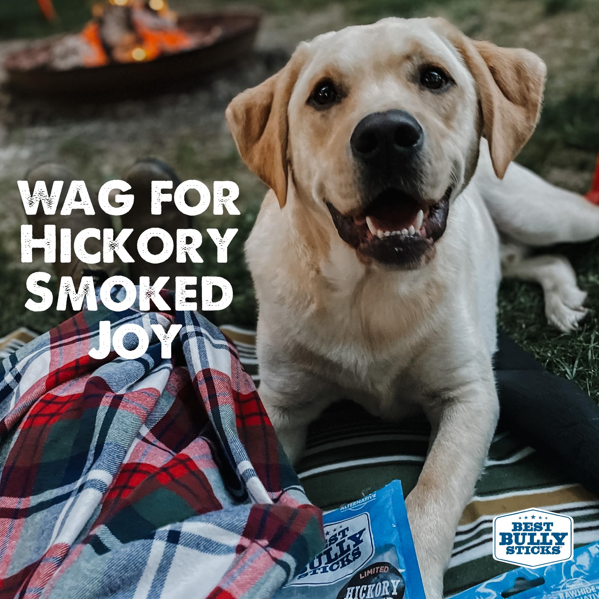 Best Bully Sticks hickory ahumado 12 pulgadas, paquete de 10 para uso diario