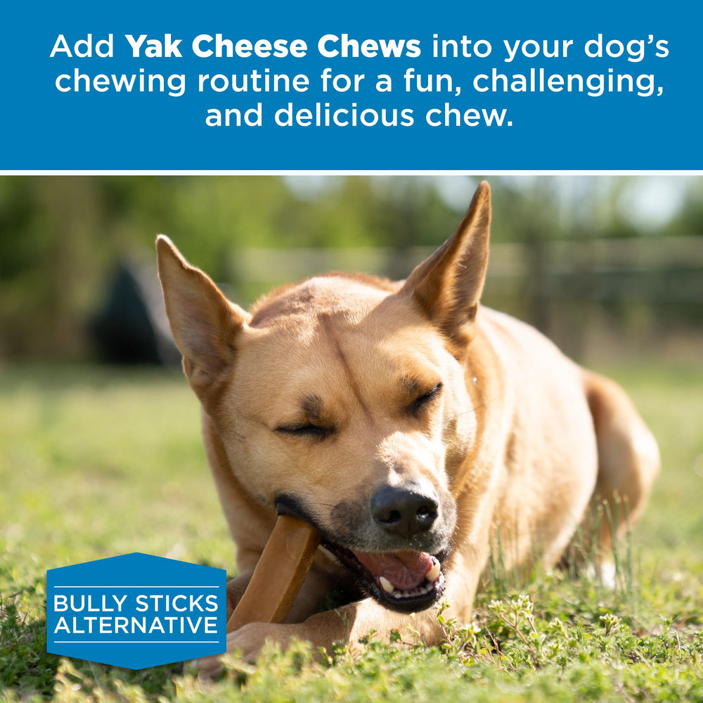 Best Bully Sticks Himalayan Yak Cheese sin aditivos artificiales para perros