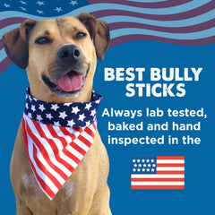 Best Bully Sticks: hueso de espinilla relleno para perros, útil para juego y sabor