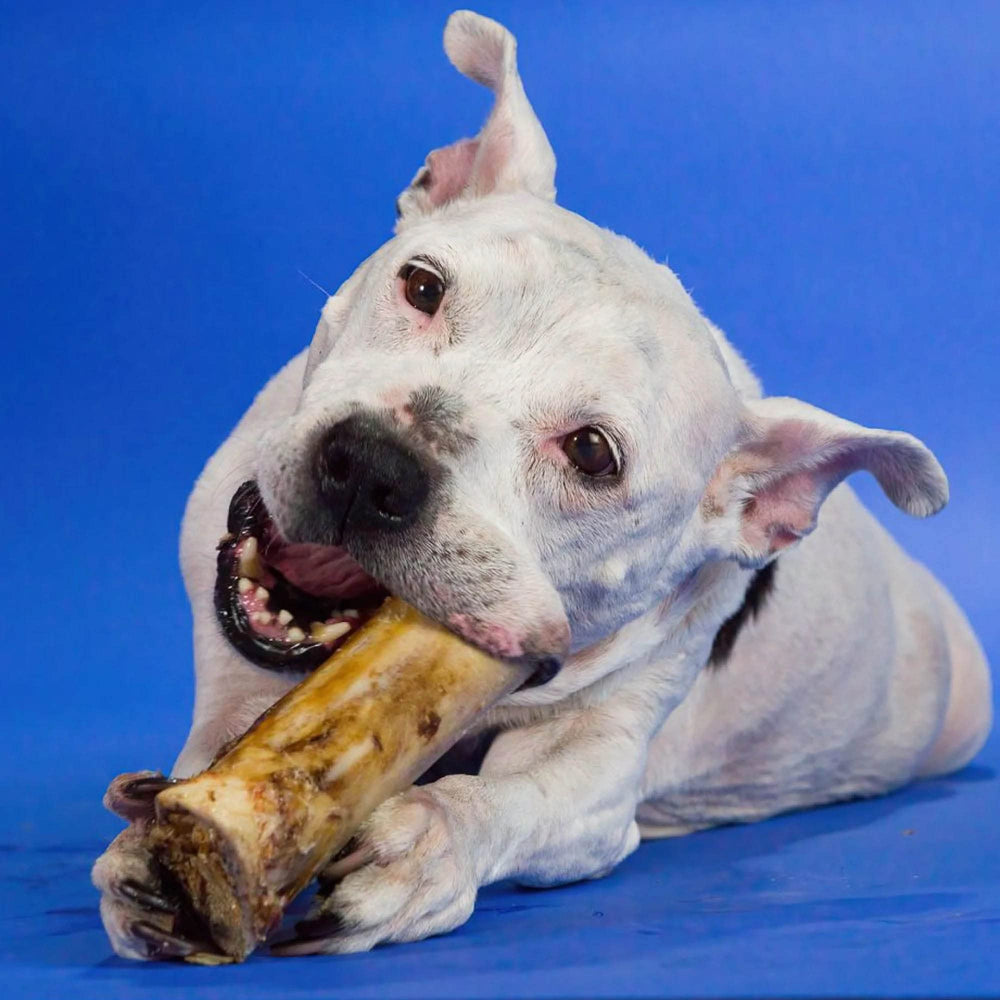 Best Bully Sticks Huesos de médula para perro, producido en EE.UU. con ganado alimentado con pasto.