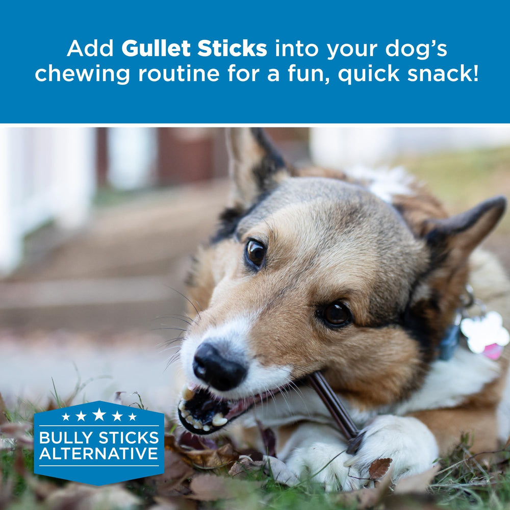 Best Bully Sticks: paquete de 25 unidades de palitos de esófago de 6 pulgadas.