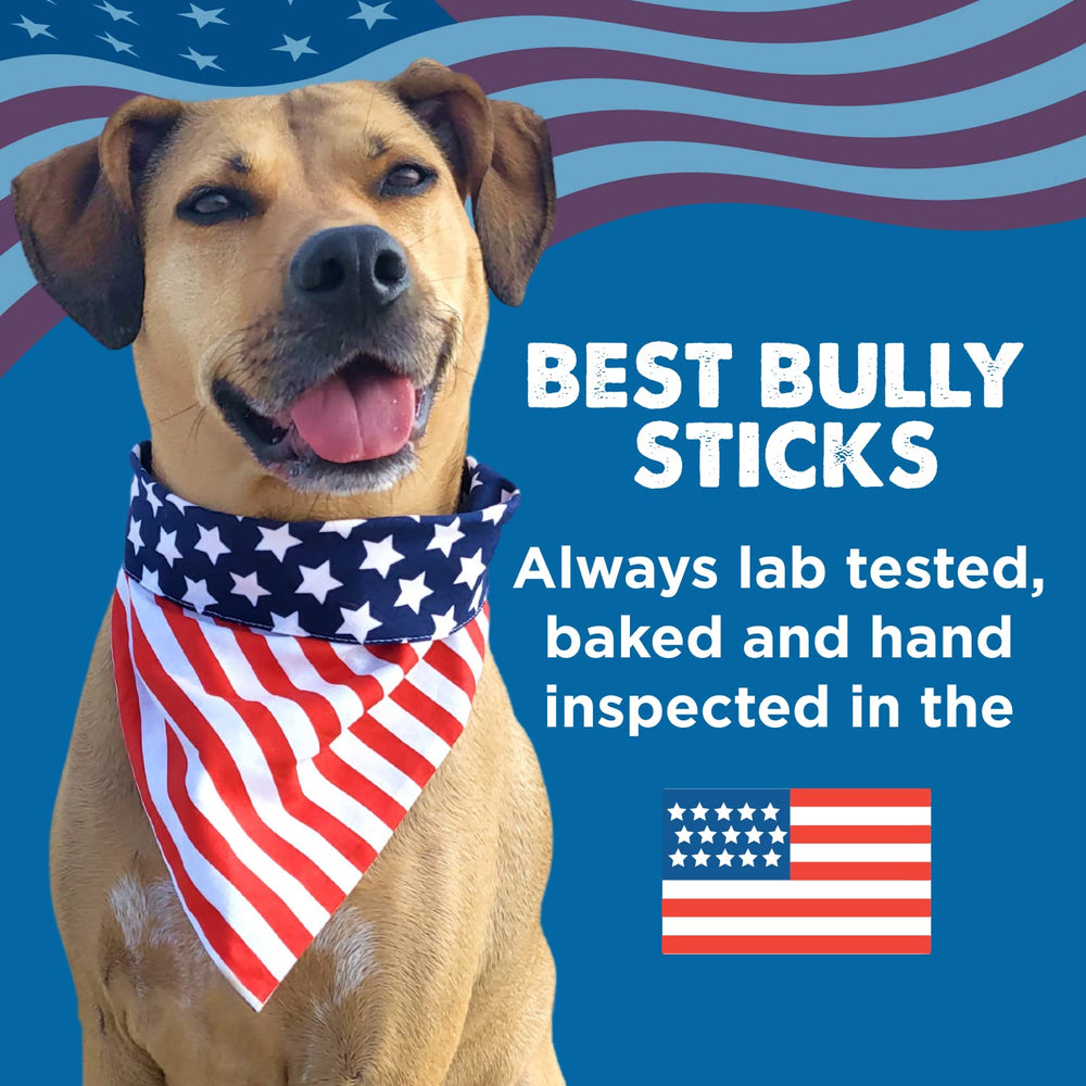 Best Bully Sticks: proteína alta y natural para perros activos