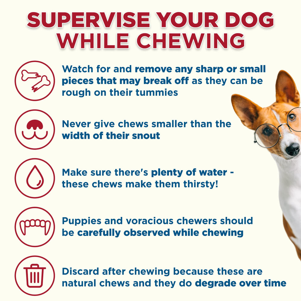 Best Bully Sticks Marrow Bones: alternativa segura a huesos crudos