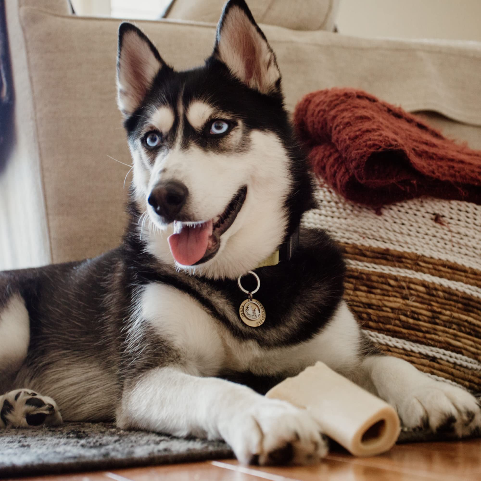 Best Bully Sticks: textura dura que ayuda a retirar sarro y placa para la higiene dental.