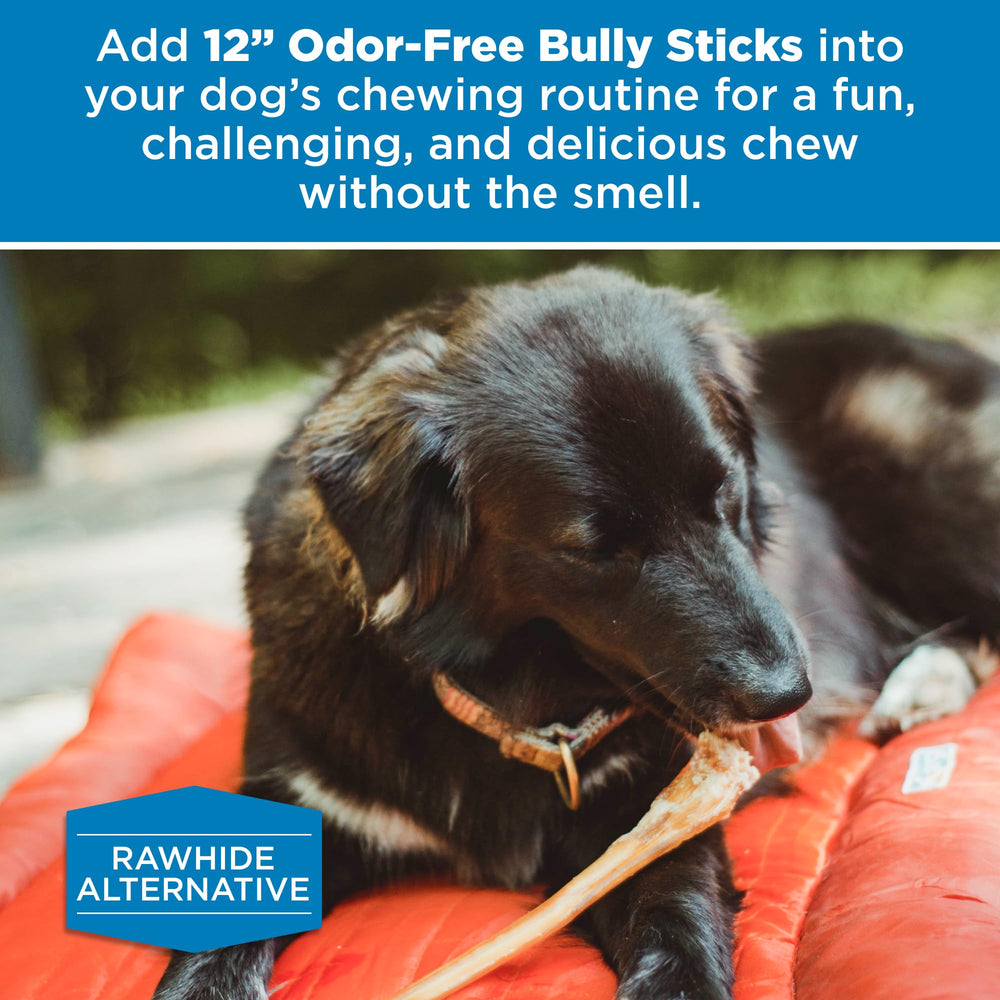 Best Bully Sticks sin cuero crudo: alternativa segura para masticar