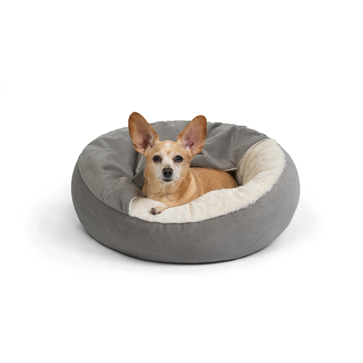 Best Friends Cozy Cuddler Ilan: cama con manta adjunta para mascotas pequeñas