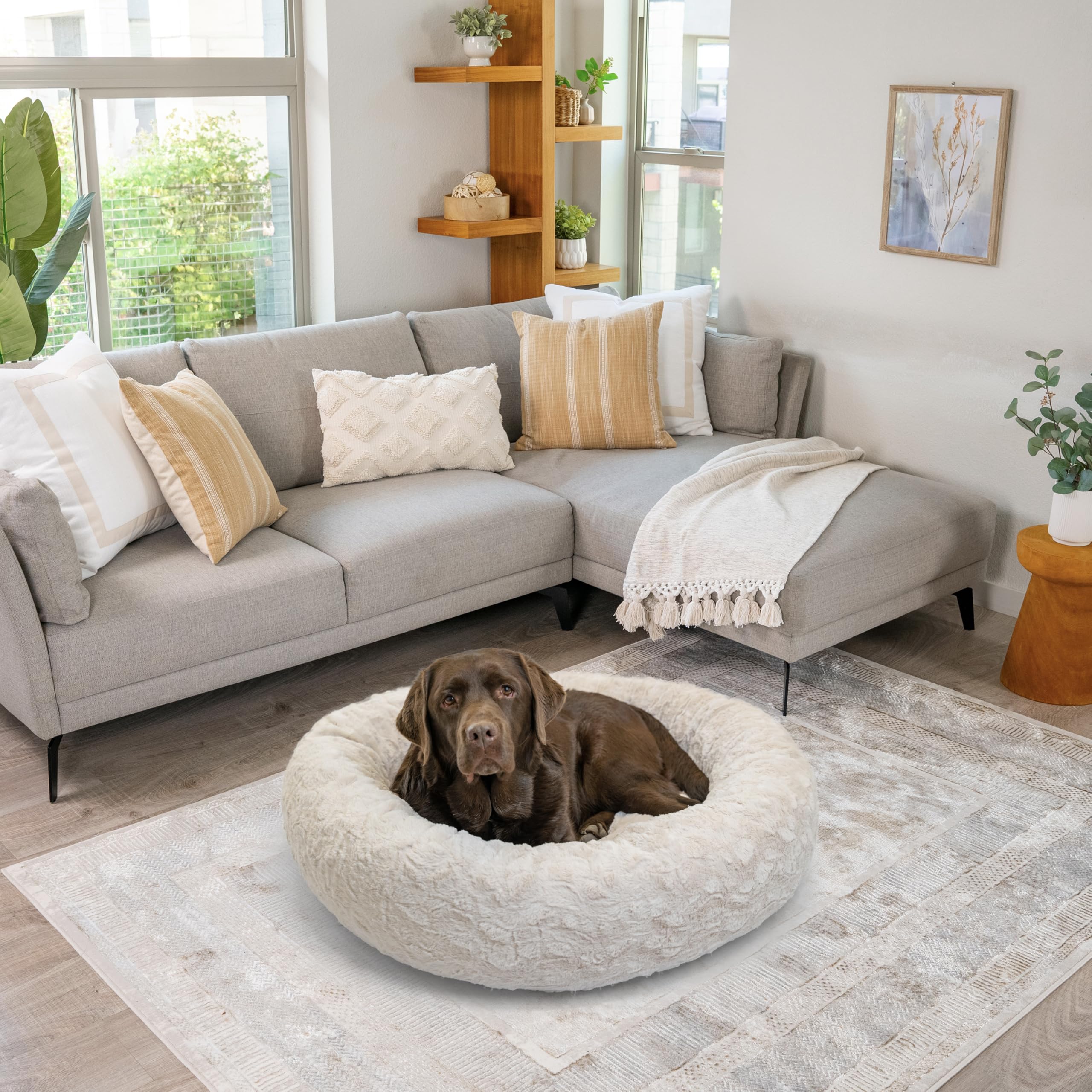 Best Friends by Sheri Oyster, color neutro que combina con el hogar