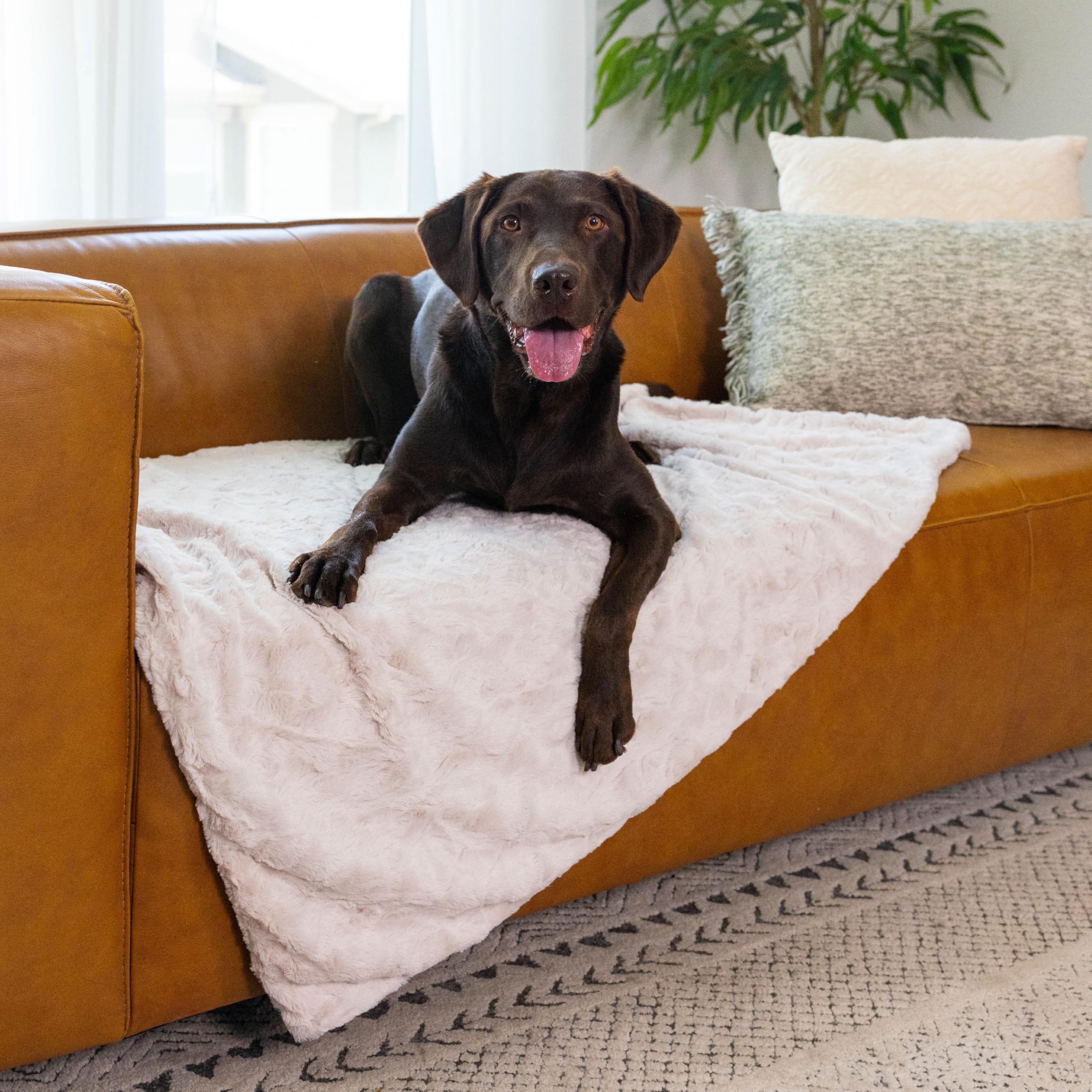 Best Friends by Sheri Manta Calmante: protector de sofa, evita pelos y suciedad con estilo.