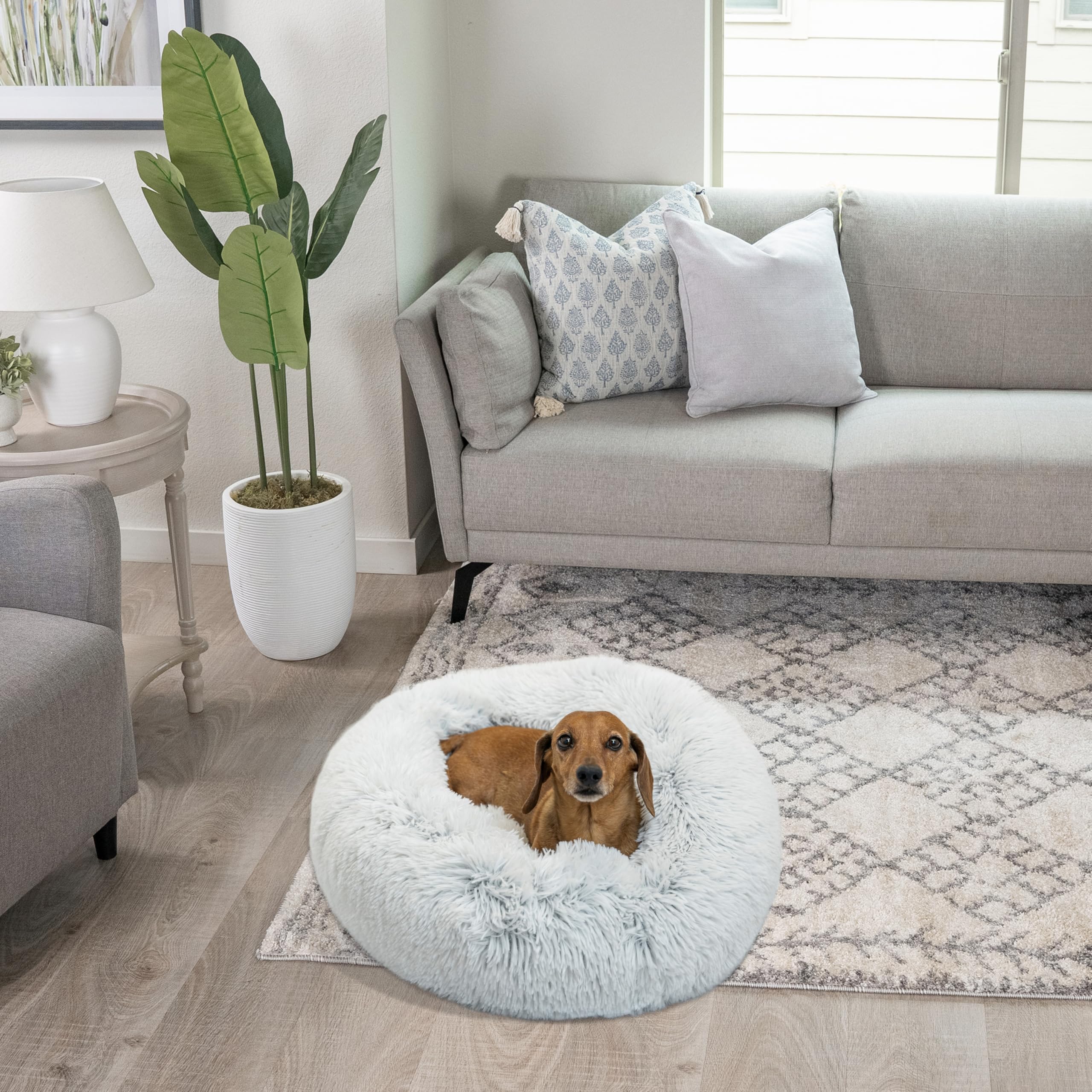 Best Friends by Sheri diseño en dona para mascotas activas y tranquilas.