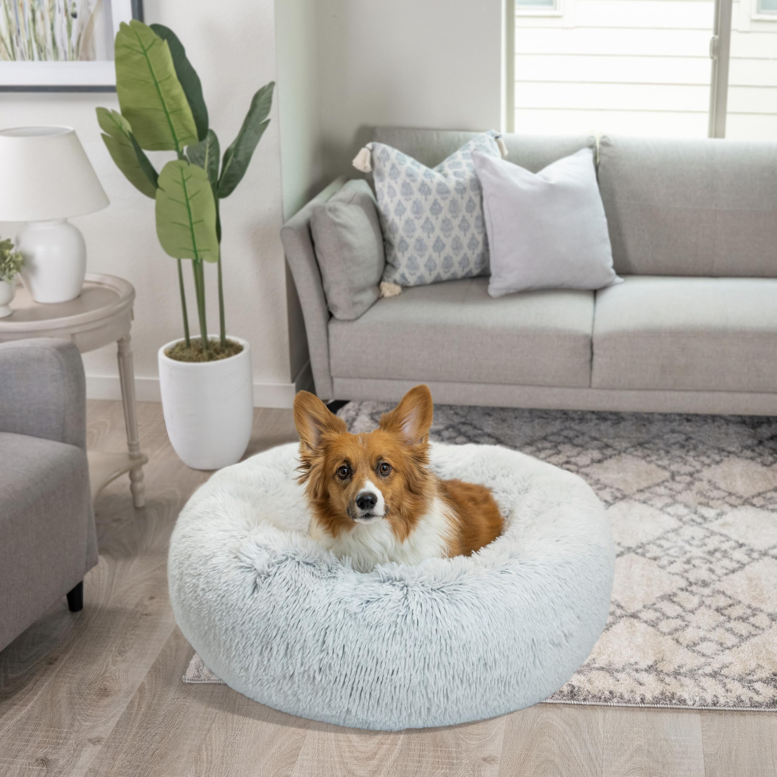 Best Friends by Sheri Donut Bed, soporte ortopédico suave para articulaciones.