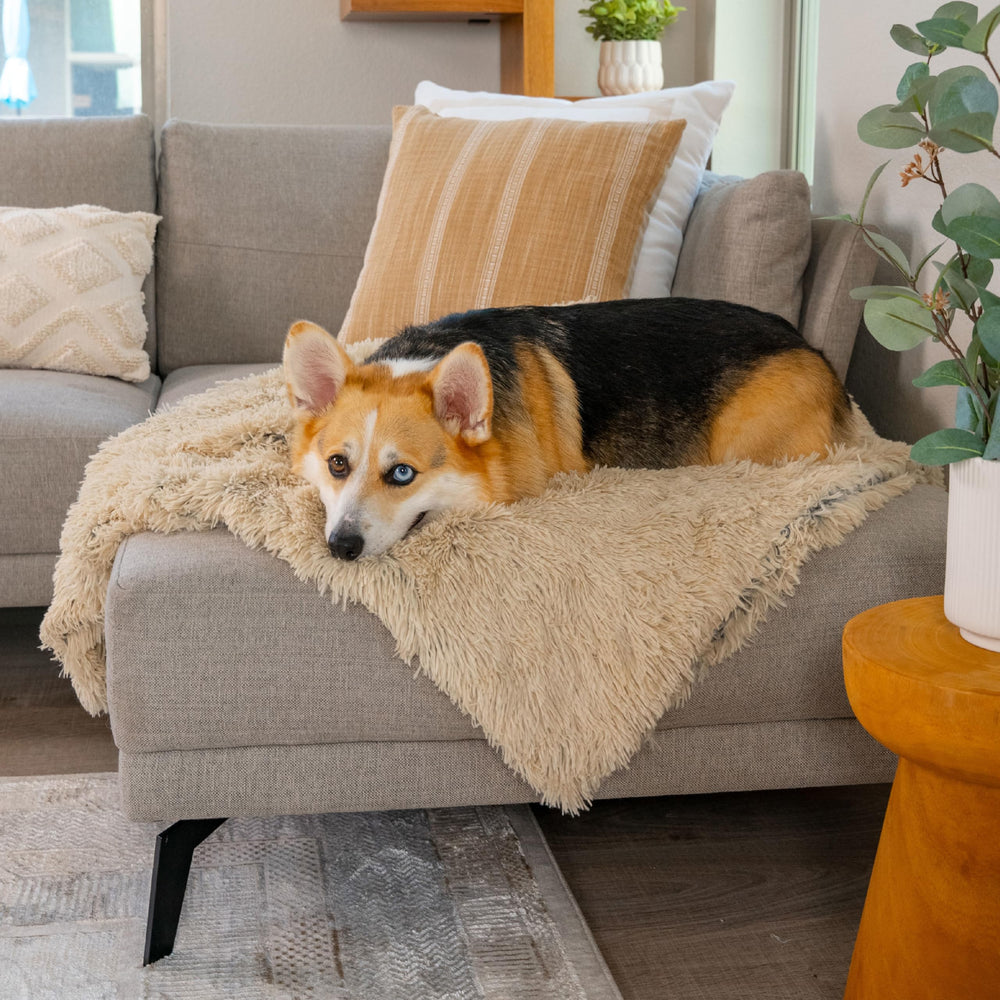 Best Friends by Sheri, manta multiuso protege muebles y reduce pelo.