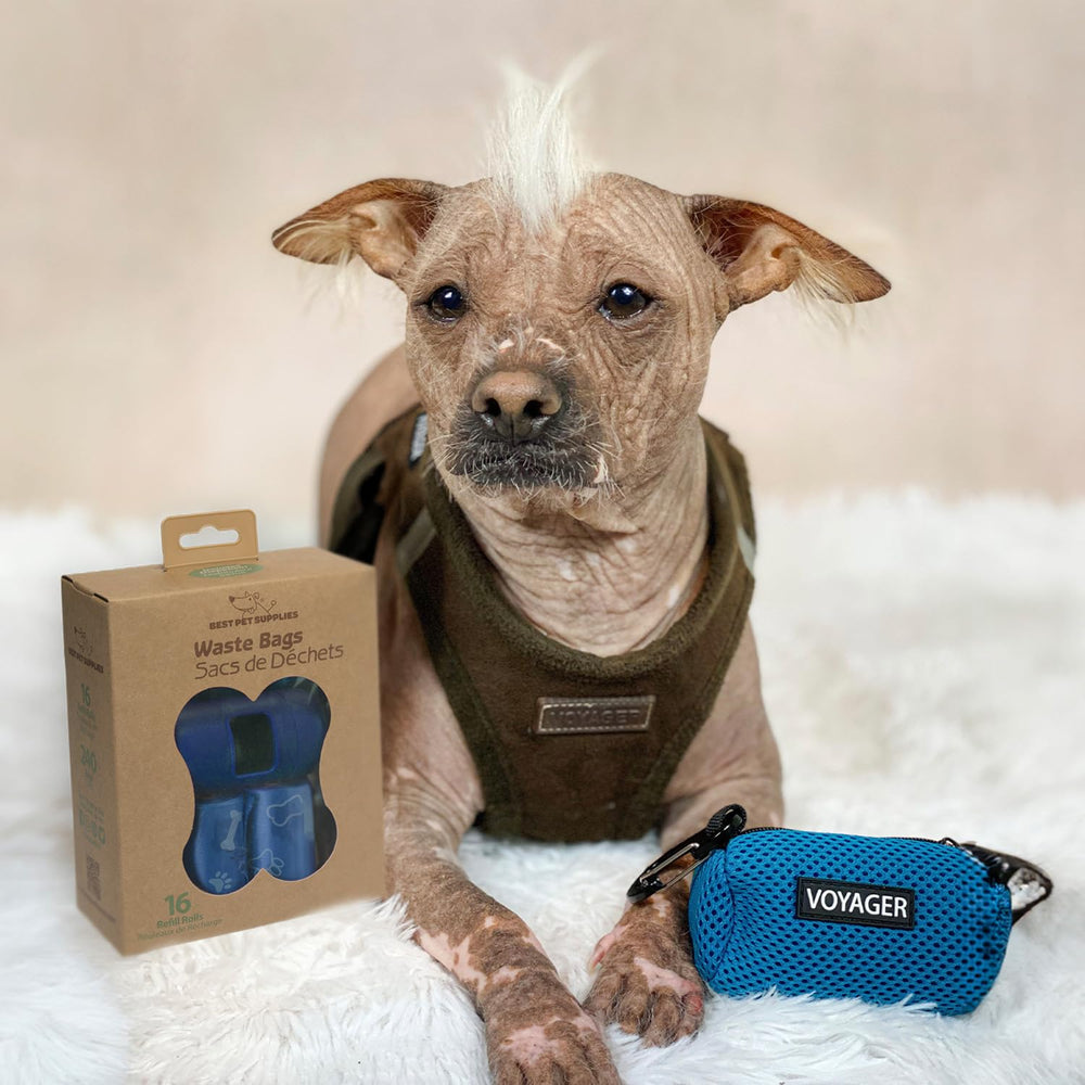 Best Pet Supplies azul royal, bolsa gruesa y resistente para excrementos