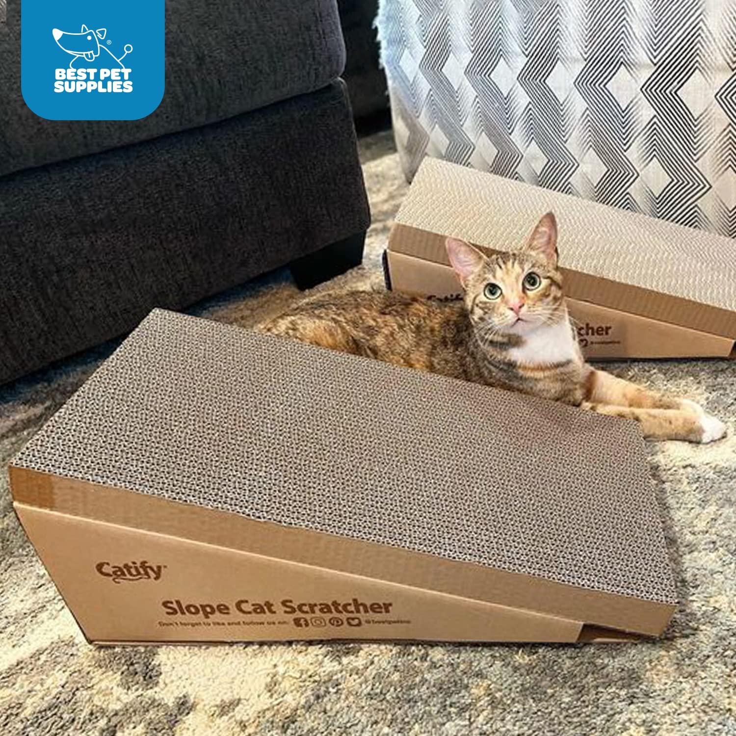 Best Pet Supplies Catify material-cartón-duradero: diseño robusto para gatos activos.