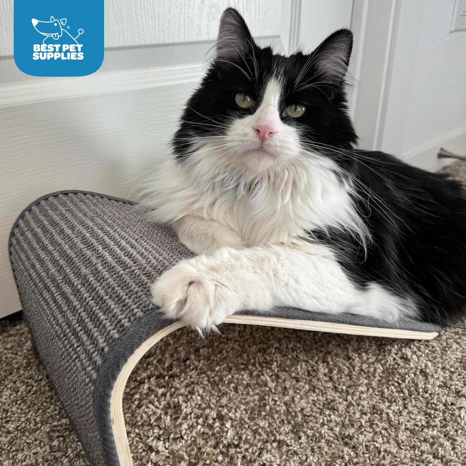 Best Pet Supplies Catify material sisal duradero para rascado prolongado.