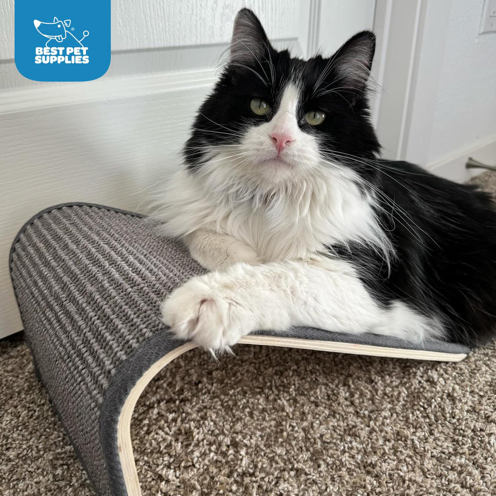 Best Pet Supplies Catify material sisal duradero para rascado prolongado.