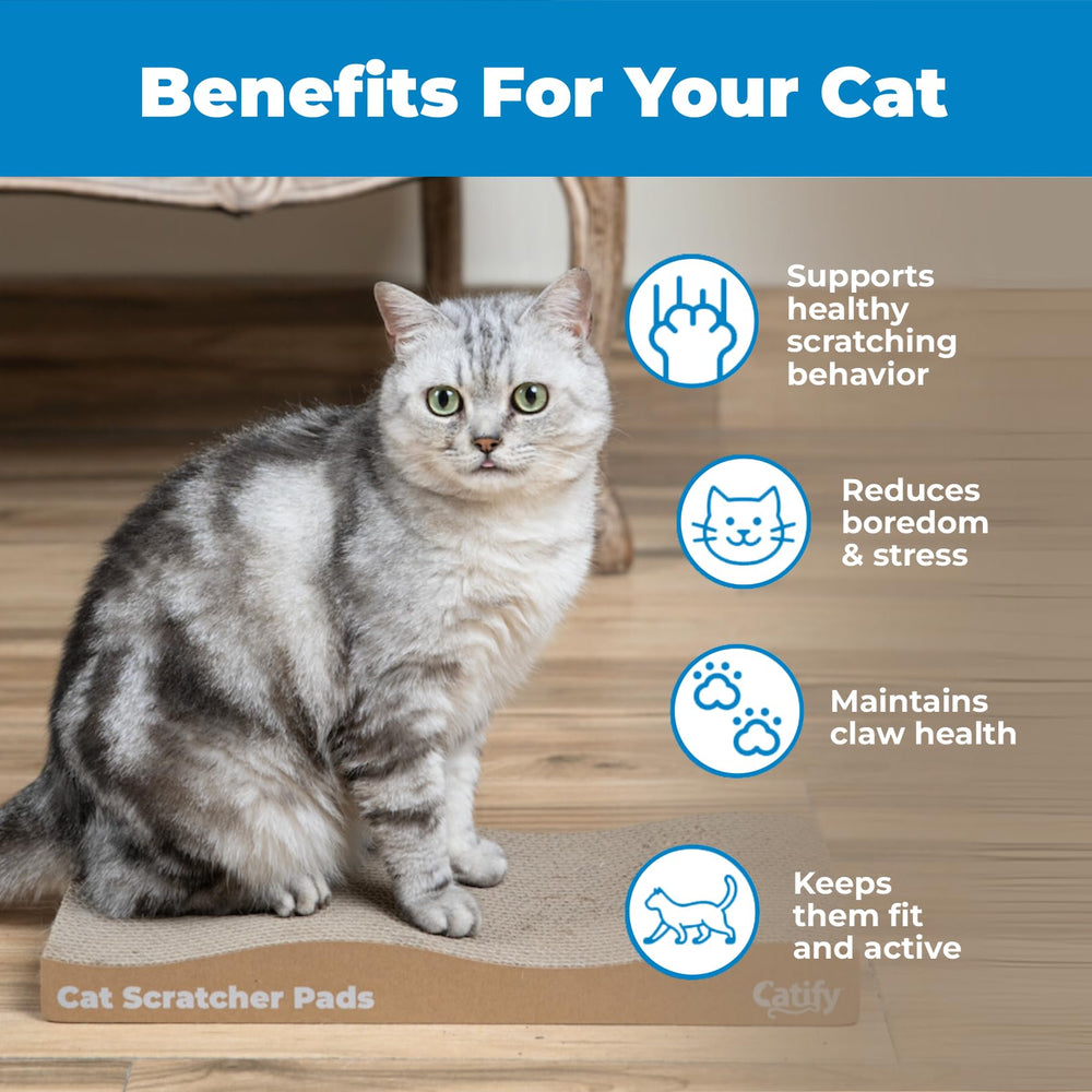 Best Pet Supplies Catify rasca-onda hecho de papel reciclable.