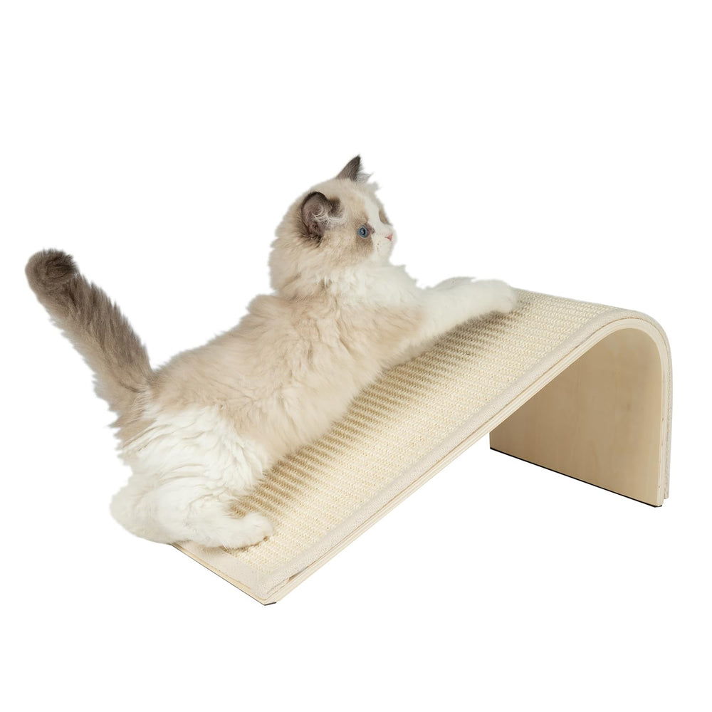 Best Pet Supplies Catify tablero rascador para afilar uñas y juego diario.