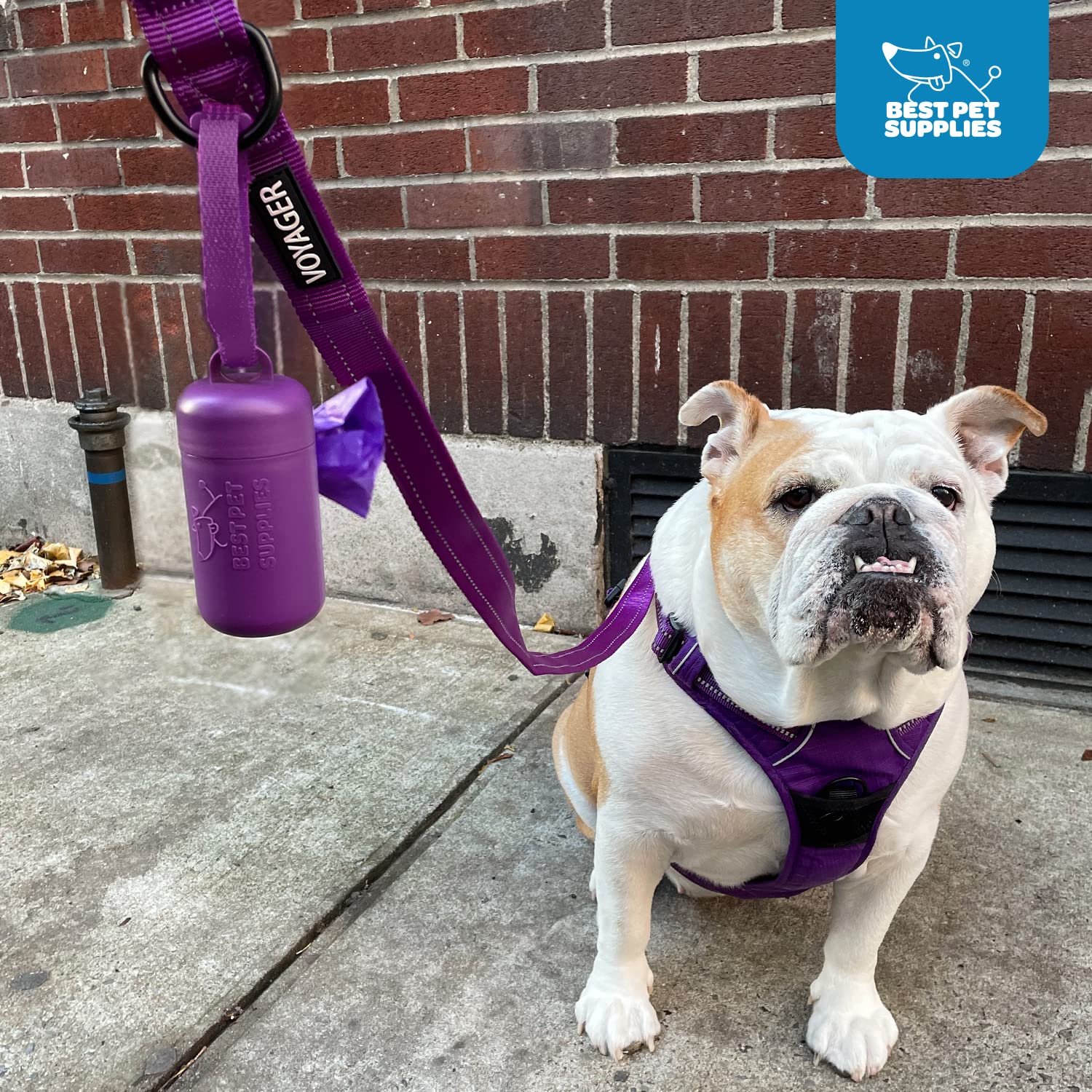 Best Pet Supplies diseño universal recargable compatible con la mayoría de bolsas