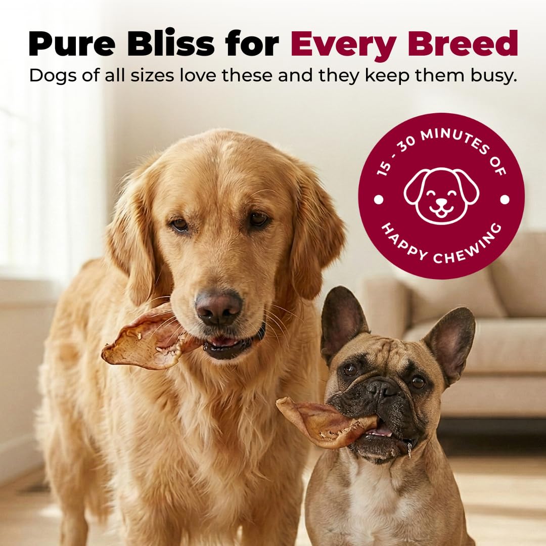 Best Pet Supplies GigaBite apto para perros grandes y pequeños en porciones adecuadas