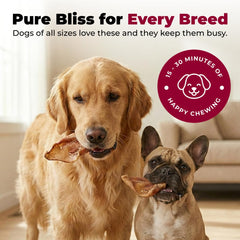 Best Pet Supplies GigaBite apto para perros grandes y pequeños en porciones adecuadas