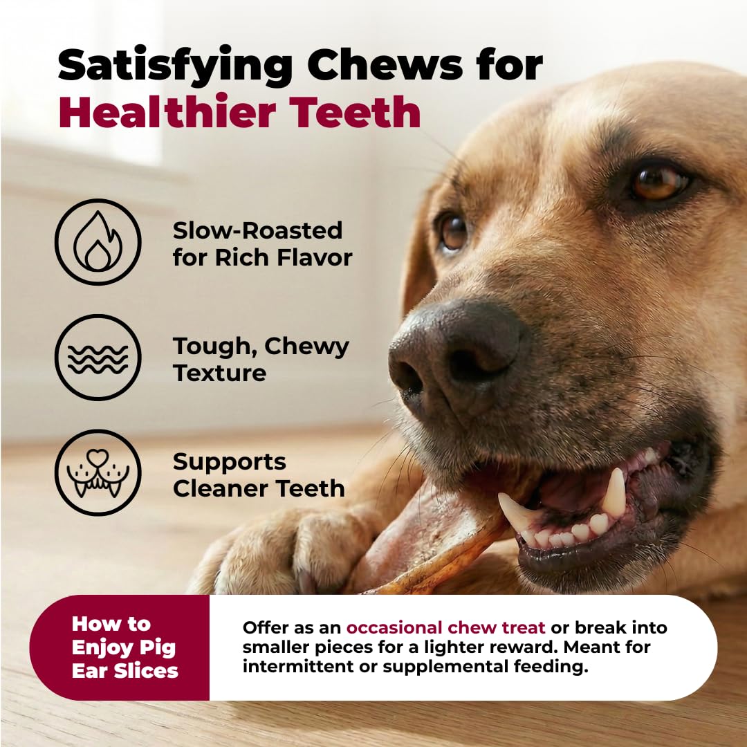 Gigabite orejas de cerdo enteras, snack natural para perros activos.