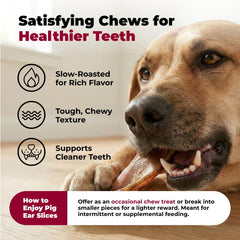Gigabite orejas de cerdo enteras, snack natural para perros activos.