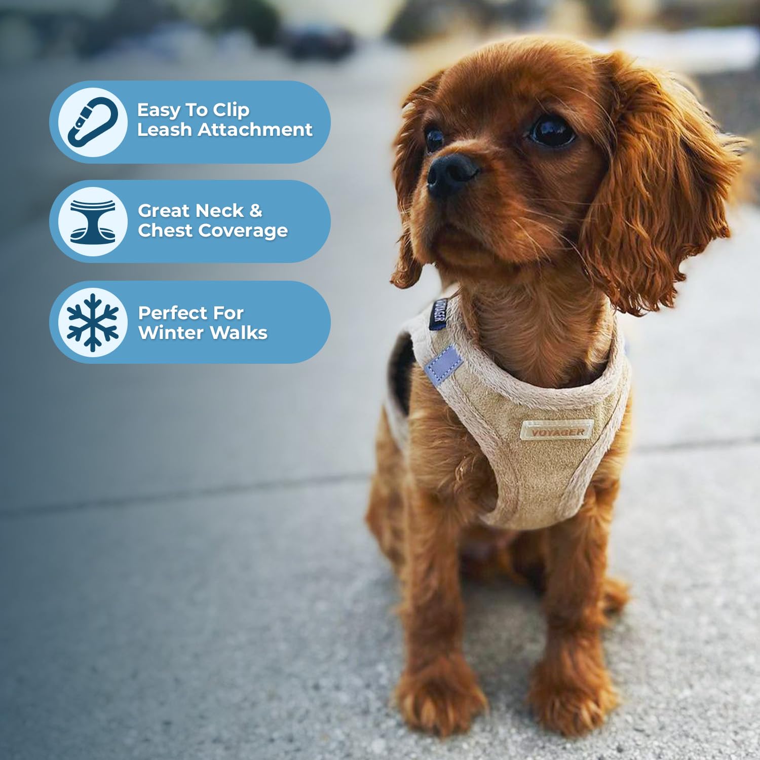 Best Pet Supplies harnais double-d-rings, sécurité renforcée lors des promenades.