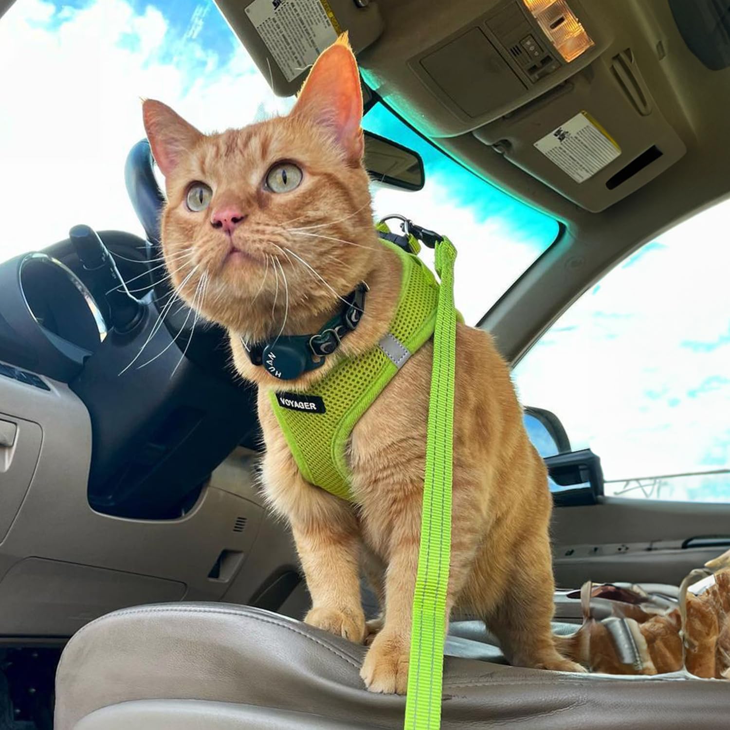 Best Pet Supplies Voyager Harnais Step-in Air – taille M adaptée.