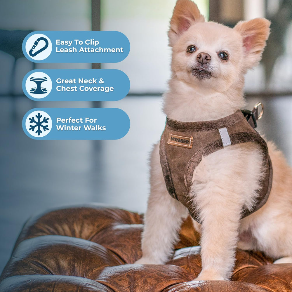 Best Pet Supplies harnais fermeture velcro et boucle fiable, ajustement sûr.