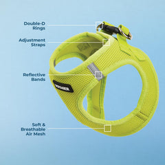 Best Pet Supplies Harnais Voyager, doubles anneaux en D pour sécurité accrue.