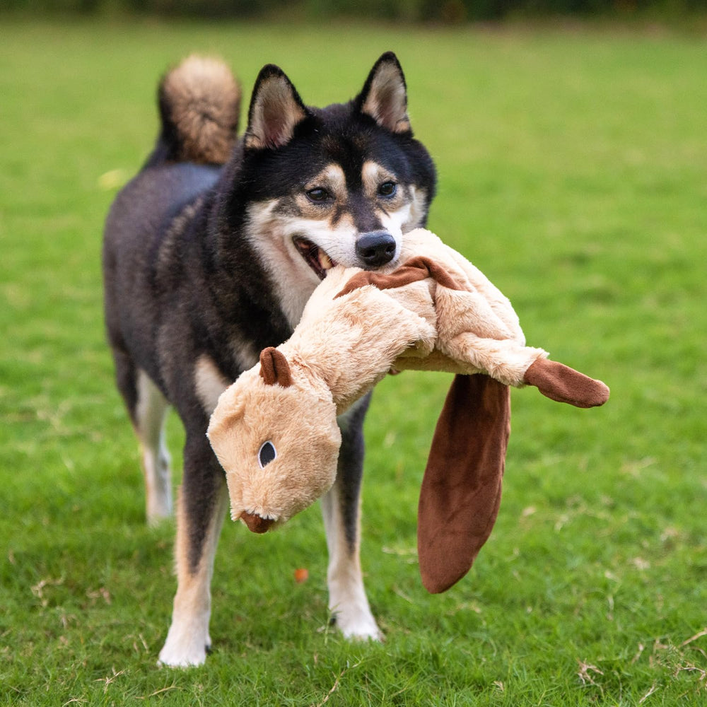 Best Pet Supplies jouet sifflet castor, morsure sûre et divertissement