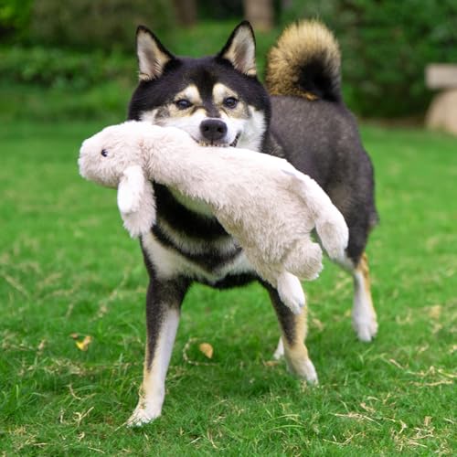 Best Pet Supplies jouet sifflet hibou, variation de jeux captivante