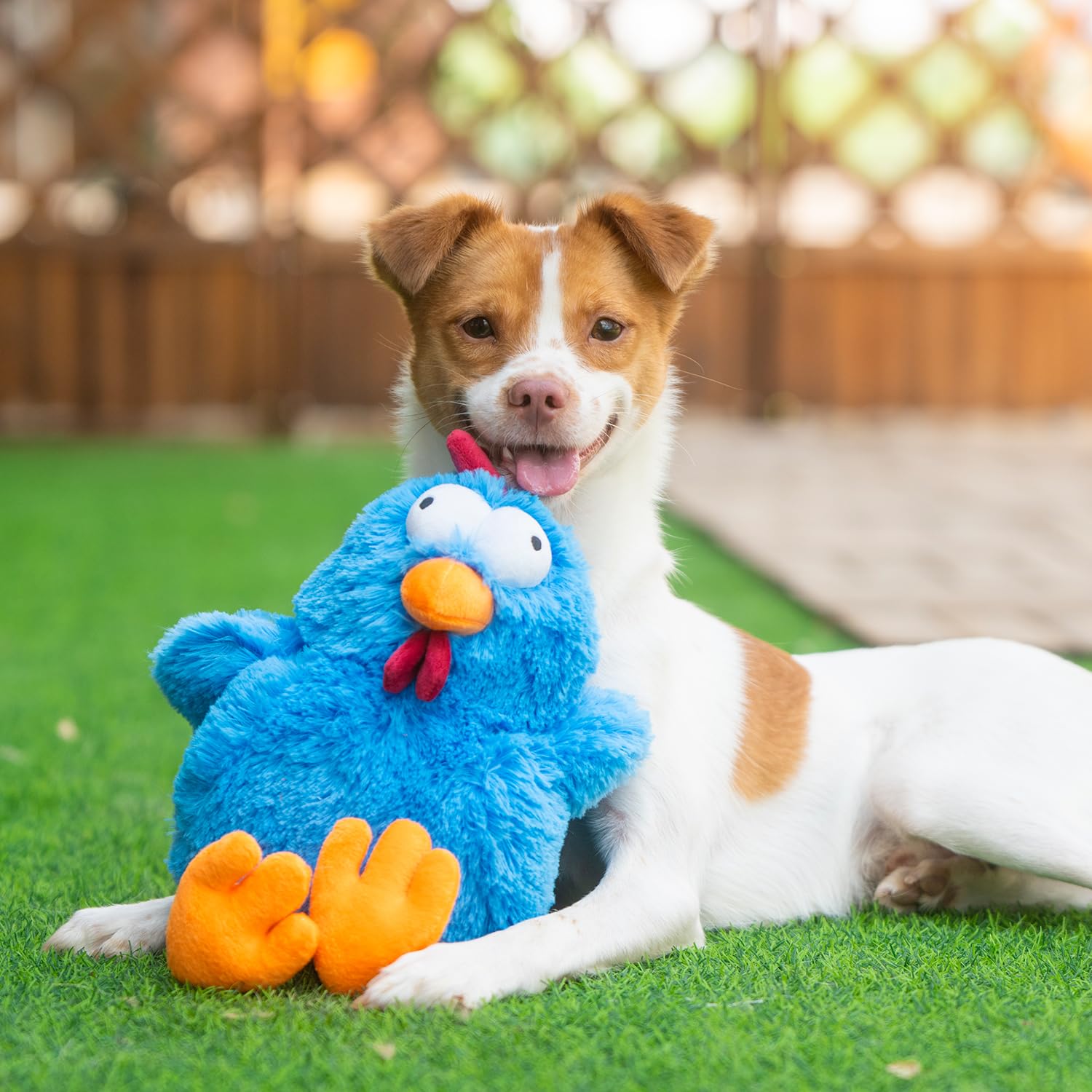 Best Pet Supplies juguete apto para perros de todos los tamaños en interiores.
