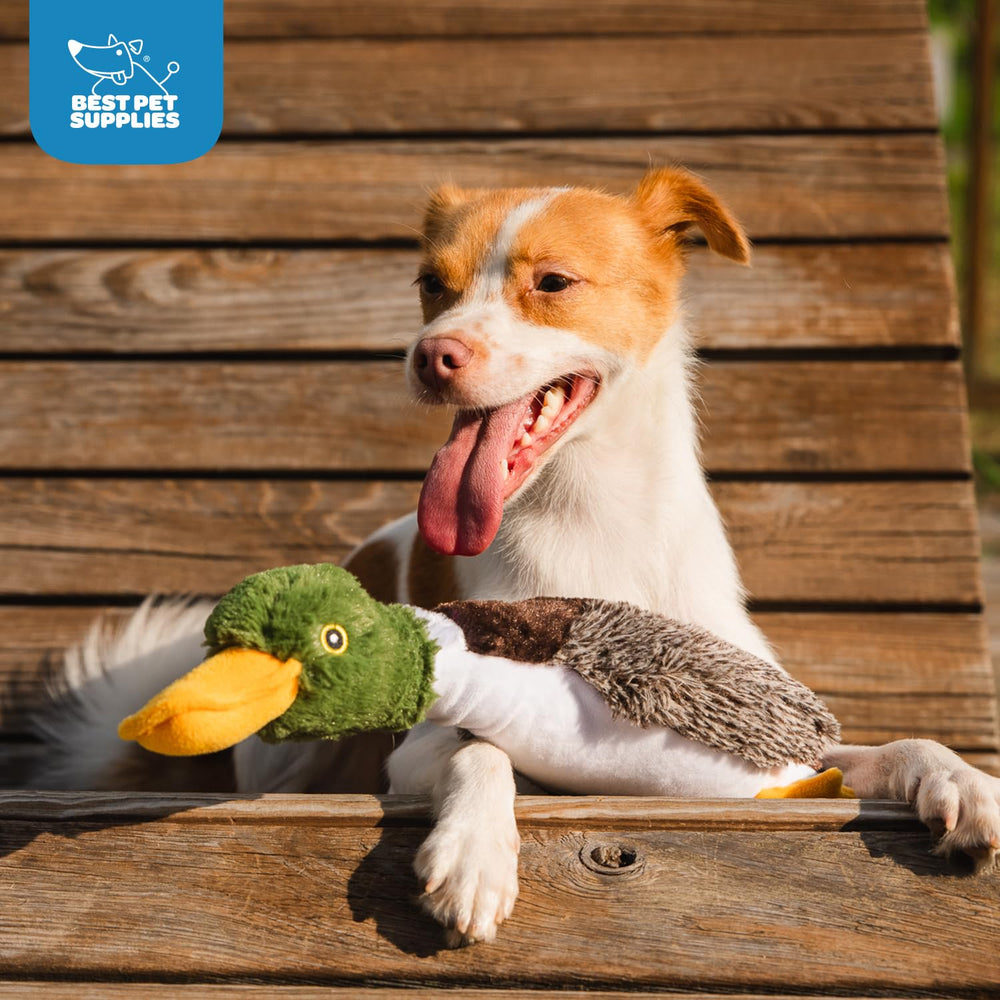 Best Pet Supplies Juguete Interactivo para Perros, fomenta vínculo y confianza durante el juego.