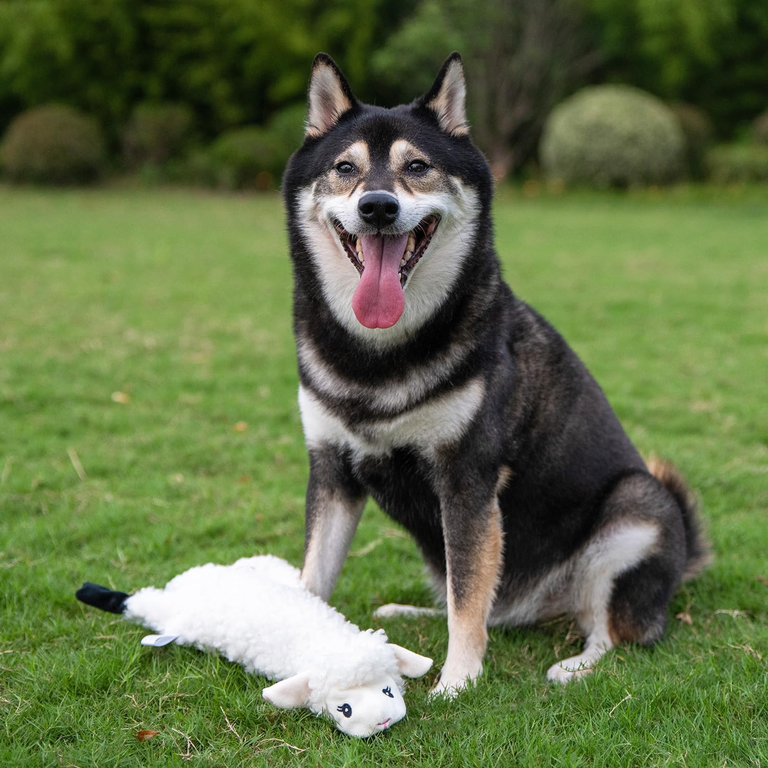 Best Pet Supplies Juguete chirriante Pingüino para perros, ideal para juego interior