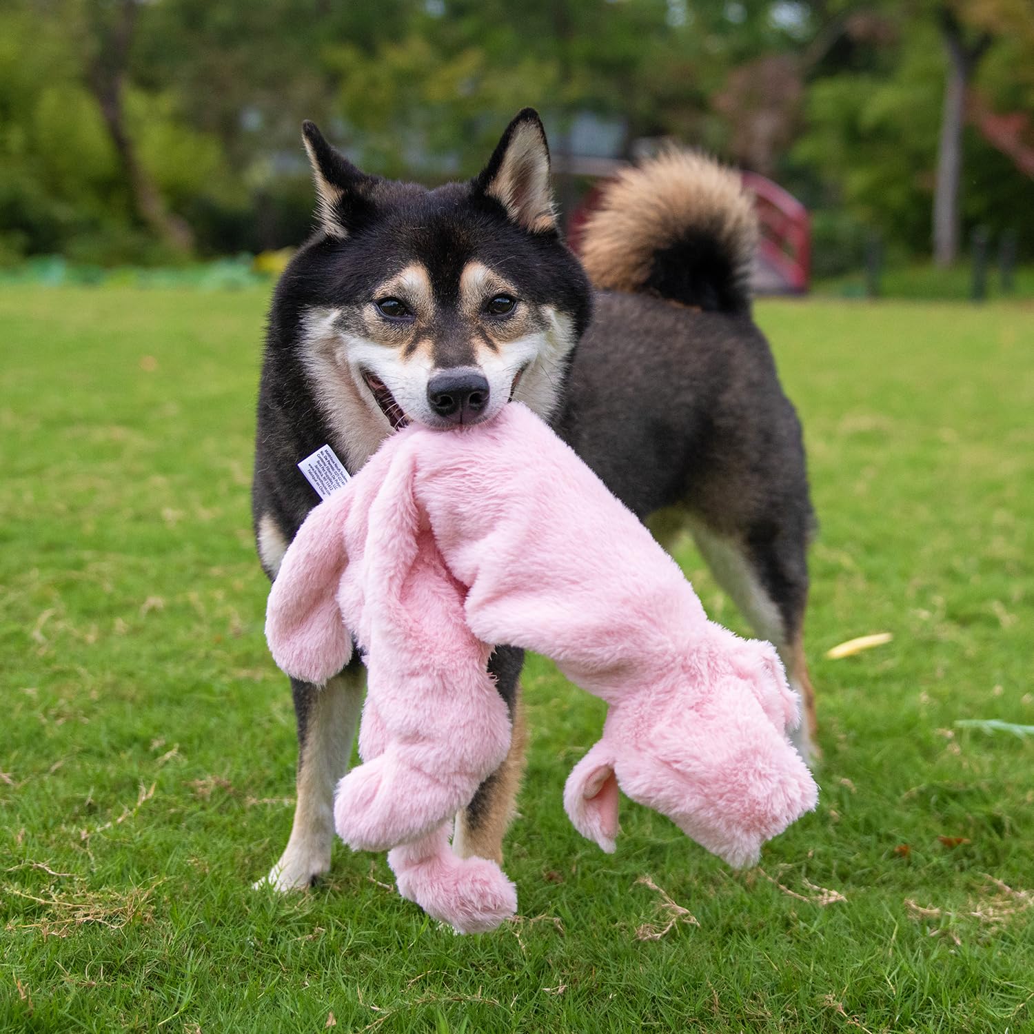 Best Pet Supplies Juguete ladrido sin relleno, estilo variado para interiores