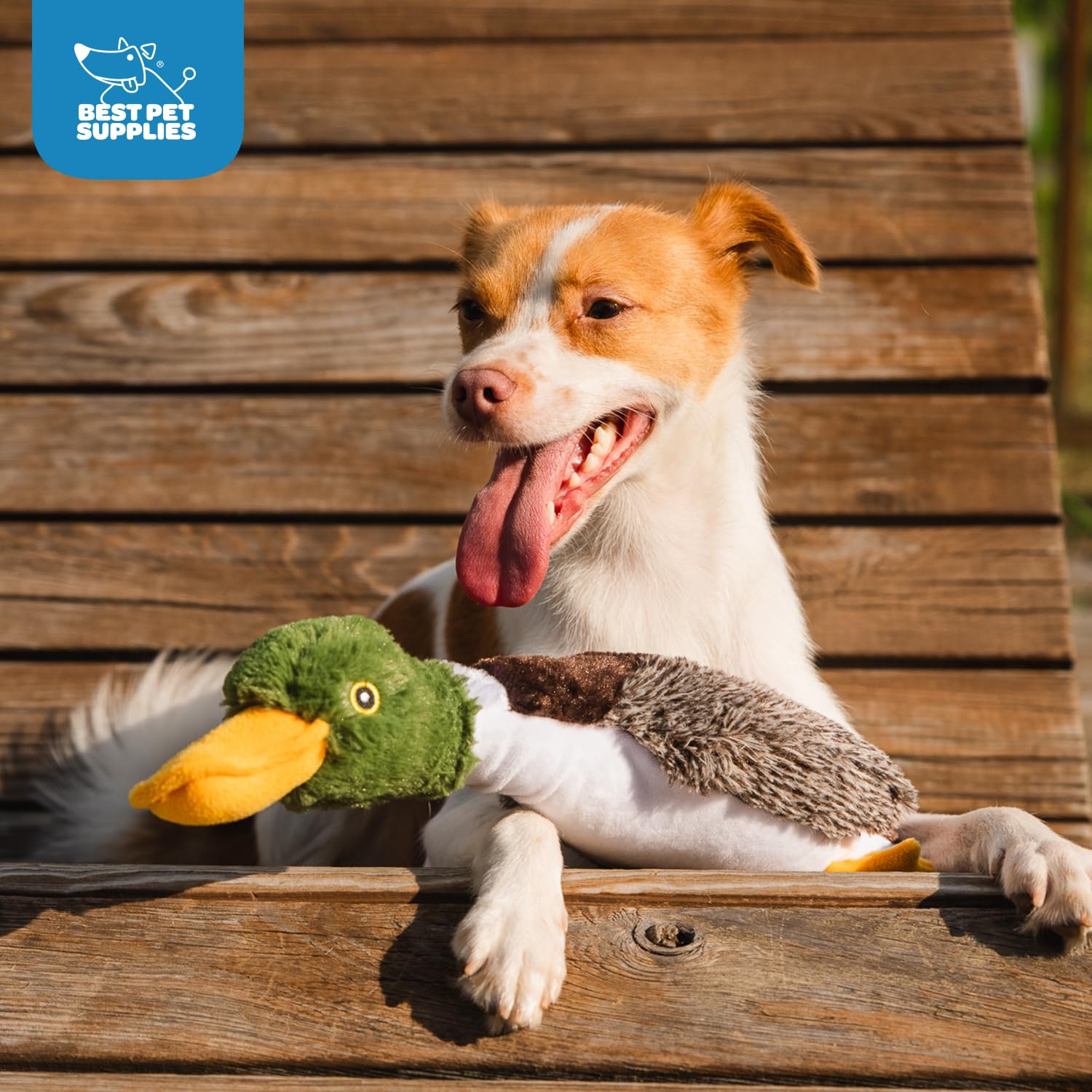 Best Pet Supplies Juguete para perros activos, adecuado para todo tamaño y juego responsable.
