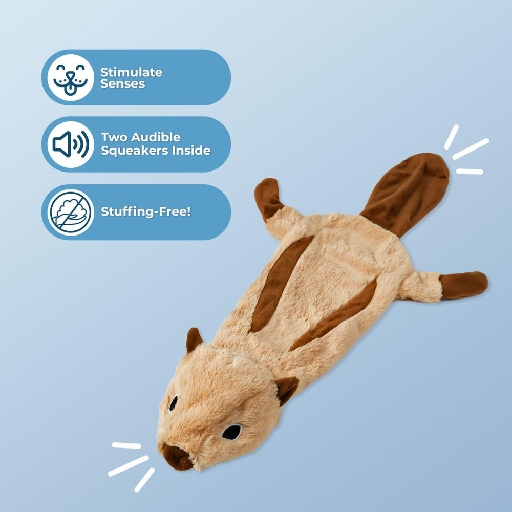 Best Pet Supplies Juguete con cavidad para botella, crujido entretenido al morder.