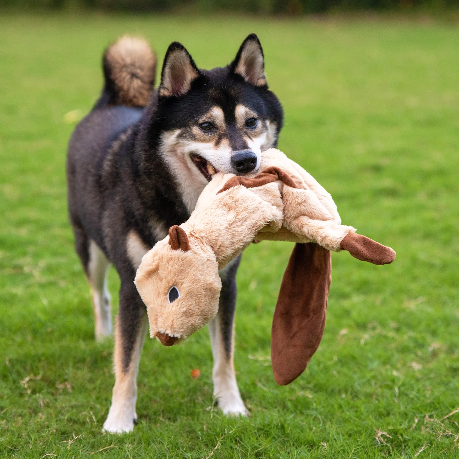 Best Pet Supplies Juguete perro tela suave duradera, calidad para juego prolongado.