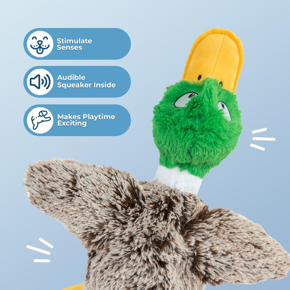 Best Pet Supplies Mallard Duck gris pequeño, juguete con sonido squeaky para perros activos