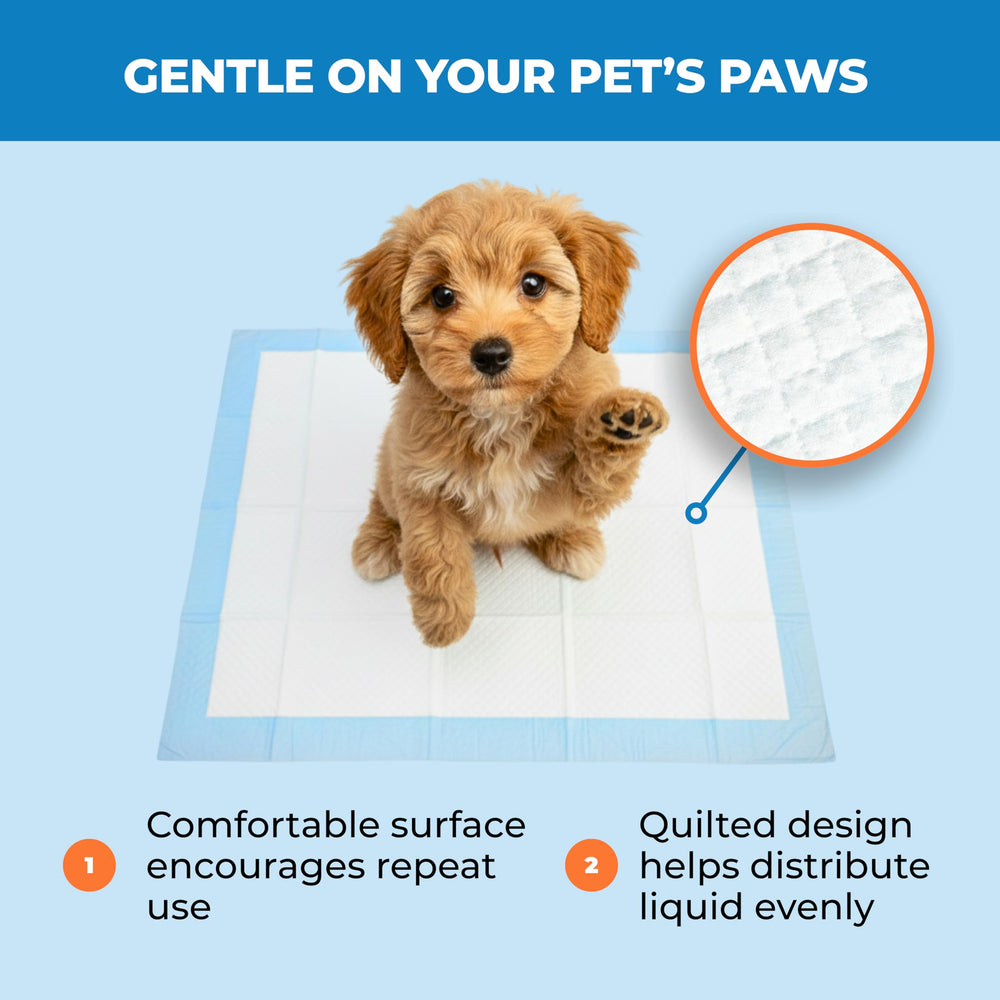 Best Pet Supplies Almohadillas para cachorros: Diseño anti salpicaduras mantiene el área limpia.