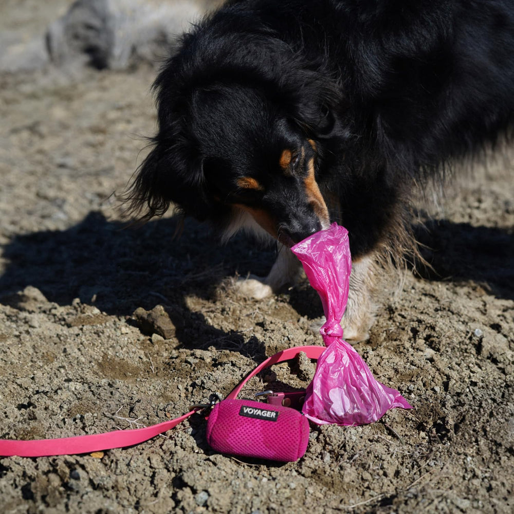 Best Pet Supplies rollo-desechos-perro para almacenamiento práctico
