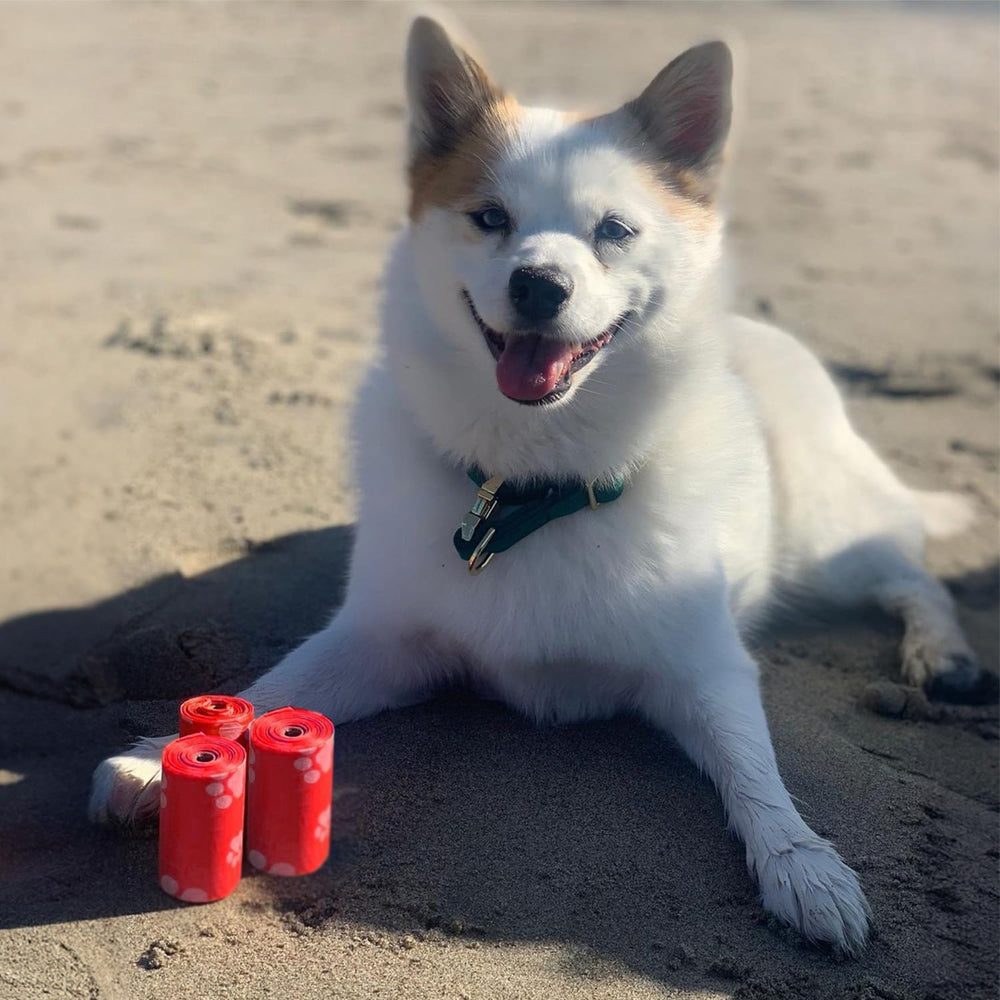 Best Pet Supplies uso-en-parque-y-viajes para limpieza rápida