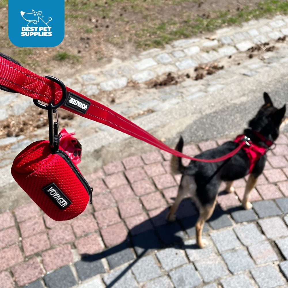 Best Pet Supplies uso exterior para caminatas, parques y viajes.