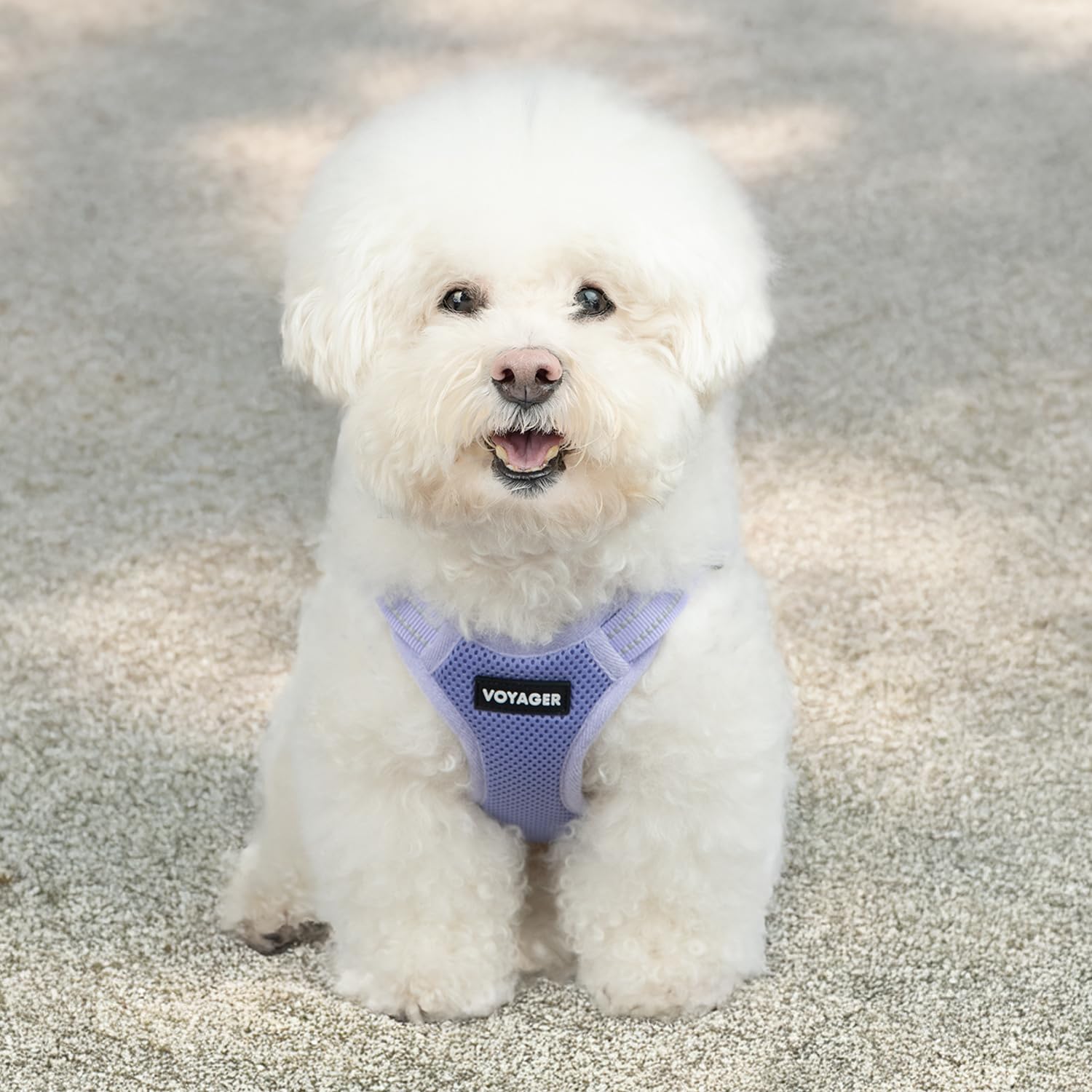 Best Pet Supplies Voyager: ajuste perfecto con guía de tallas precisa.