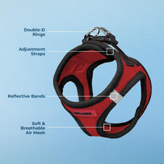 Harnais Voyager Best Pet Supplies avec anneaux en D doubles pour attacher la laisse.
